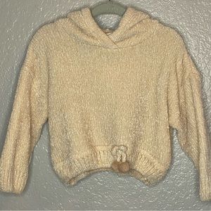 Zara fuzzy sweater